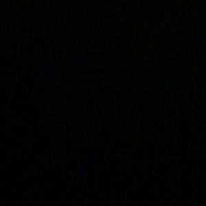 Meet your Posher, Carley